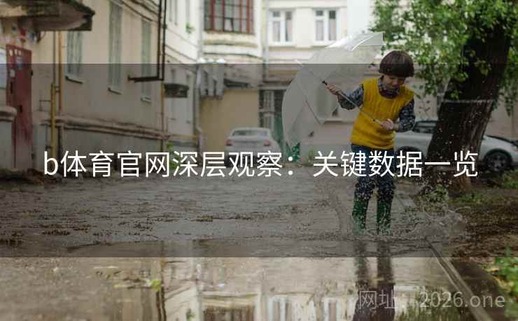 b体育官网深层观察：关键数据一览