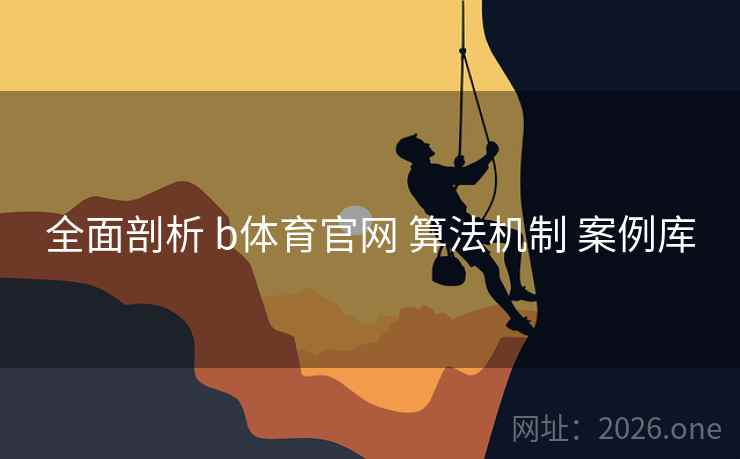 全面剖析 b体育官网 算法机制 案例库