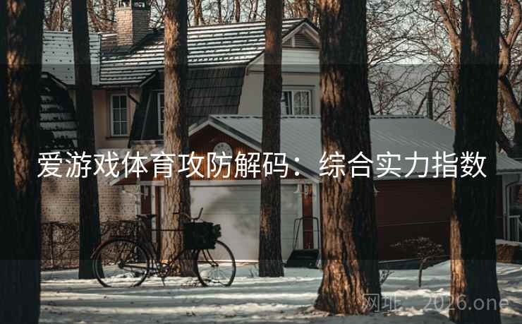 爱游戏体育攻防解码：综合实力指数