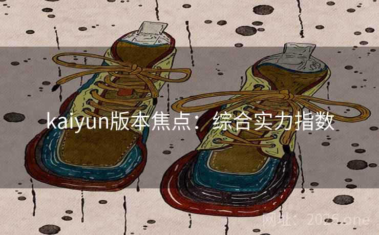 kaiyun版本焦点：综合实力指数