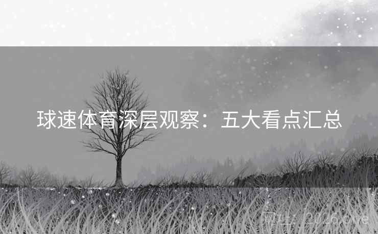 球速体育深层观察：五大看点汇总