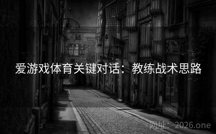 爱游戏体育关键对话：教练战术思路