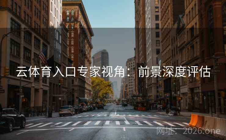 云体育入口专家视角：前景深度评估