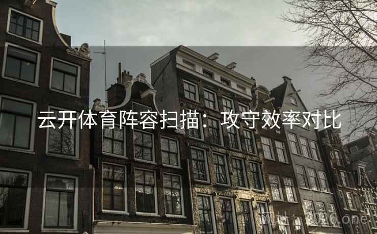 云开体育阵容扫描：攻守效率对比
