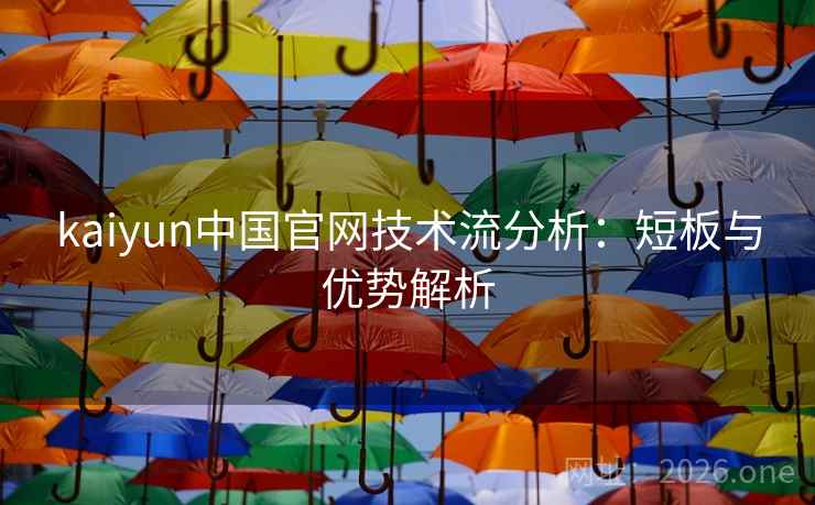 kaiyun中国官网技术流分析：短板与优势解析